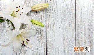 养殖盆栽百合的注意事项 养殖盆栽百合的注意事项有哪些