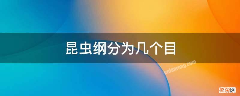 昆虫纲分为几个目 昆虫纲分为几个目及代表动物