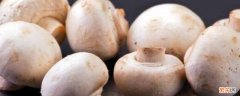 草菇可以放冰箱保存吗 草菇能放冰箱冷藏一天可以吃吗