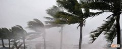 台风天气时如何自救 台风来了怎么自救
