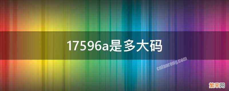 17596a是多大码上衣 17596a是多大码