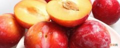 水果红布林长啥样 红布林是啥水果