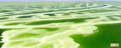 察尔汗盐湖为什么是绿色的 察尔汗盐湖水为什么是绿色的
