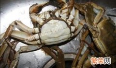 螃蟹买回来死了能吃吗有毒吗 螃蟹买回来死了能吃吗
