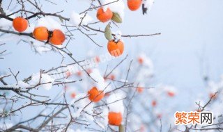 秋天成熟的水果有哪些颜色 秋天成熟的十种水果