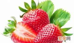 怎么种植草莓苗 怎么种植草莓苗