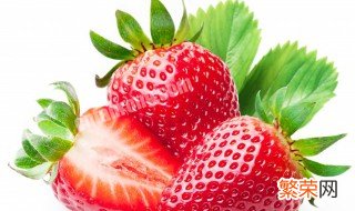 怎么种植草莓苗 怎么种植草莓苗
