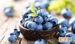 在家里怎么种蓝莓呢 在家里怎么种蓝莓呢