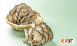 平菇怎么种植方法家种 室内种菌菇怎么种植方法