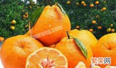 丑橘怎么挑 选择丑橘的方法
