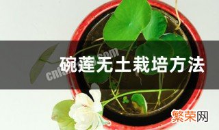 碗莲的无土种植方法 碗莲无土栽培方法介绍