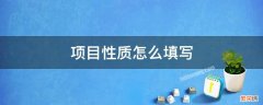 项目性质怎么填写 工程项目性质怎么填写