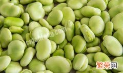 蚕豆的种植方法 蚕豆如何种植