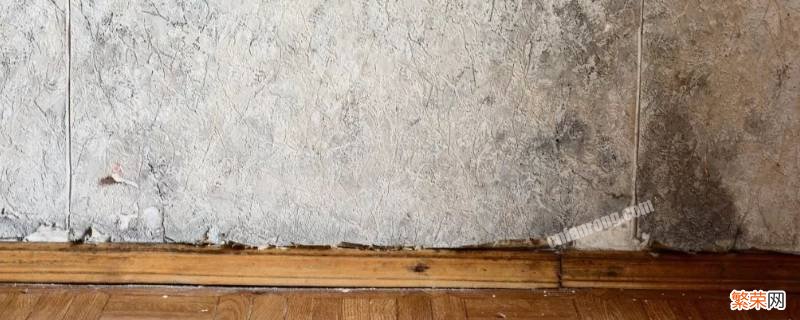 防霉剂有哪些 木材防霉剂有哪些