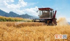 麦秸收储技巧 麦秸收购多少斤国家有补贴