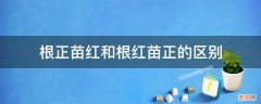 还是根正苗红 根正苗红和根红苗正的区别