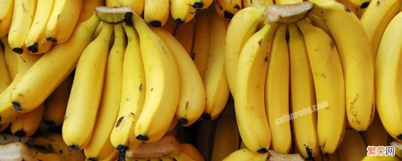 香蕉的种子是什么图片 香蕉的种子是什么