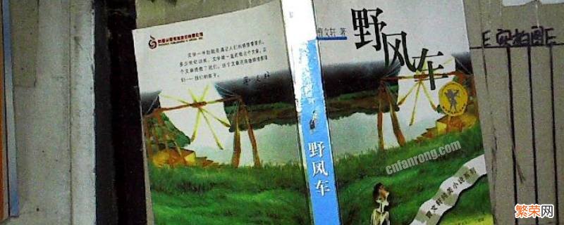 野风车的主要内容 野风车的主要内容20字