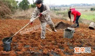 大粪属于什么肥料类别 大粪属于什么肥