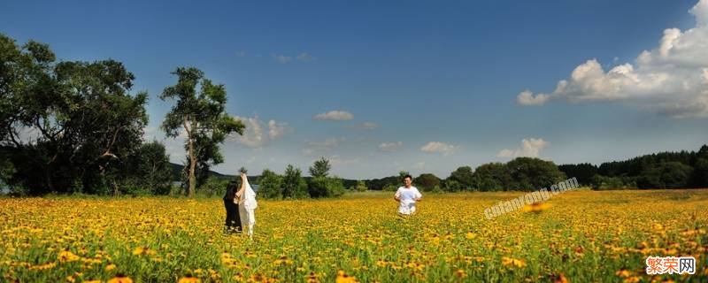 夏天是什么样的 夏天是什么样的,我喜欢在夏天干什么