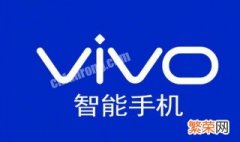 vivox20支持无线充电吗 vivonex2支持无线充电吗