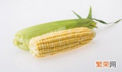 玉米如何保存 玉米的保存方法