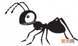白蚁的防治 白蚁的危害及防治方法