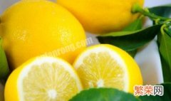 柠檬水培的方法 柠檬如何水培
