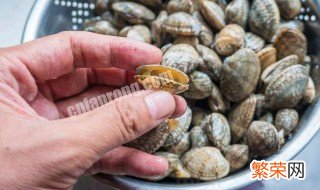 蛤蜊吐沙最快的方法 蛤蜊吐沙的方法介绍