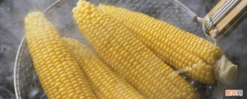 新鲜玉米该怎么保存 如何保存玉米新鲜玉米