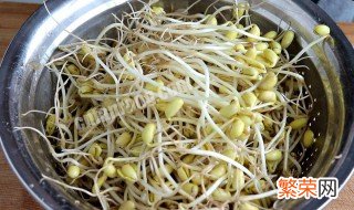 生黄豆芽简易新方法 生黄豆芽方法介绍