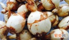 慈菇怎么保存 慈菇的保存方法