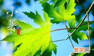 小暑当天黄历内容及有什么禁忌 小暑当天黄历内容及有哪些禁忌