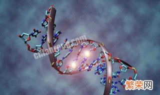 基因表达载体的构建需要什么酶 构建表达载体所需的酶