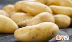 土豆块茎繁殖与种植方法 土豆块状茎种植