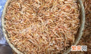 小活虾米的储存方法 小活虾米的储存步骤