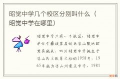 昭觉中学在哪里 昭觉中学几个校区分别叫什么