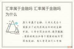 汇率属于金融吗 汇率属于金融吗为什么