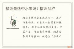 榴莲是热带水果吗? 榴莲品种