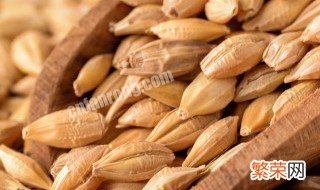 小蚂蚱吃什么食物长得快 小蚂蚱吃什么东西