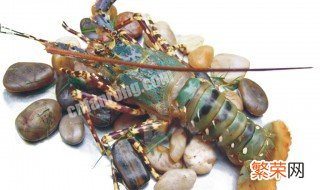 冰冻古巴龙虾怎么做好吃 冻古巴龙虾处理干净方法