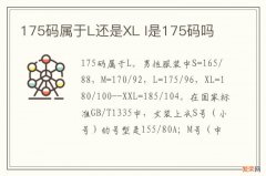 175码属于L还是XL l是175码吗