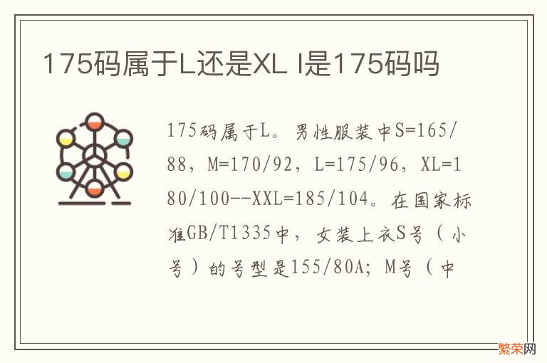 175码属于L还是XL l是175码吗