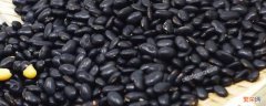 黑豆怎么做好吃又有营养国庆节 黑豆怎么做好吃又有营养