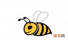 常见的蜜蜂种类有哪些名字 常见的蜜蜂种类有哪些