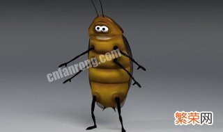 开灯能防止蟑螂爬床吗 如何防止蟑螂爬到床上