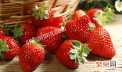 草莓是哪个季节的水果 草莓是哪个季节的水果呢
