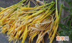 黄花菜几月份可以分株移栽 黄花菜种子可以十月份种吗