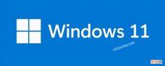 win11更新完黑屏只能看见鼠标 win11更新完黑屏