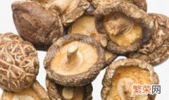 干蘑菇怎么长时间保存 干蘑菇的保存方法